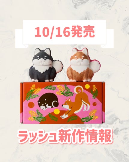 ラッシュ ハニーサンシャイン ギフト(ギフト)のクチコミ「🆕ラッシュから新作が発売🥹🤍
୨୧┈┈┈┈┈┈┈┈┈┈┈┈┈┈┈┈┈୨୧
ラッシュ
ハニーサ.....」(1枚目)