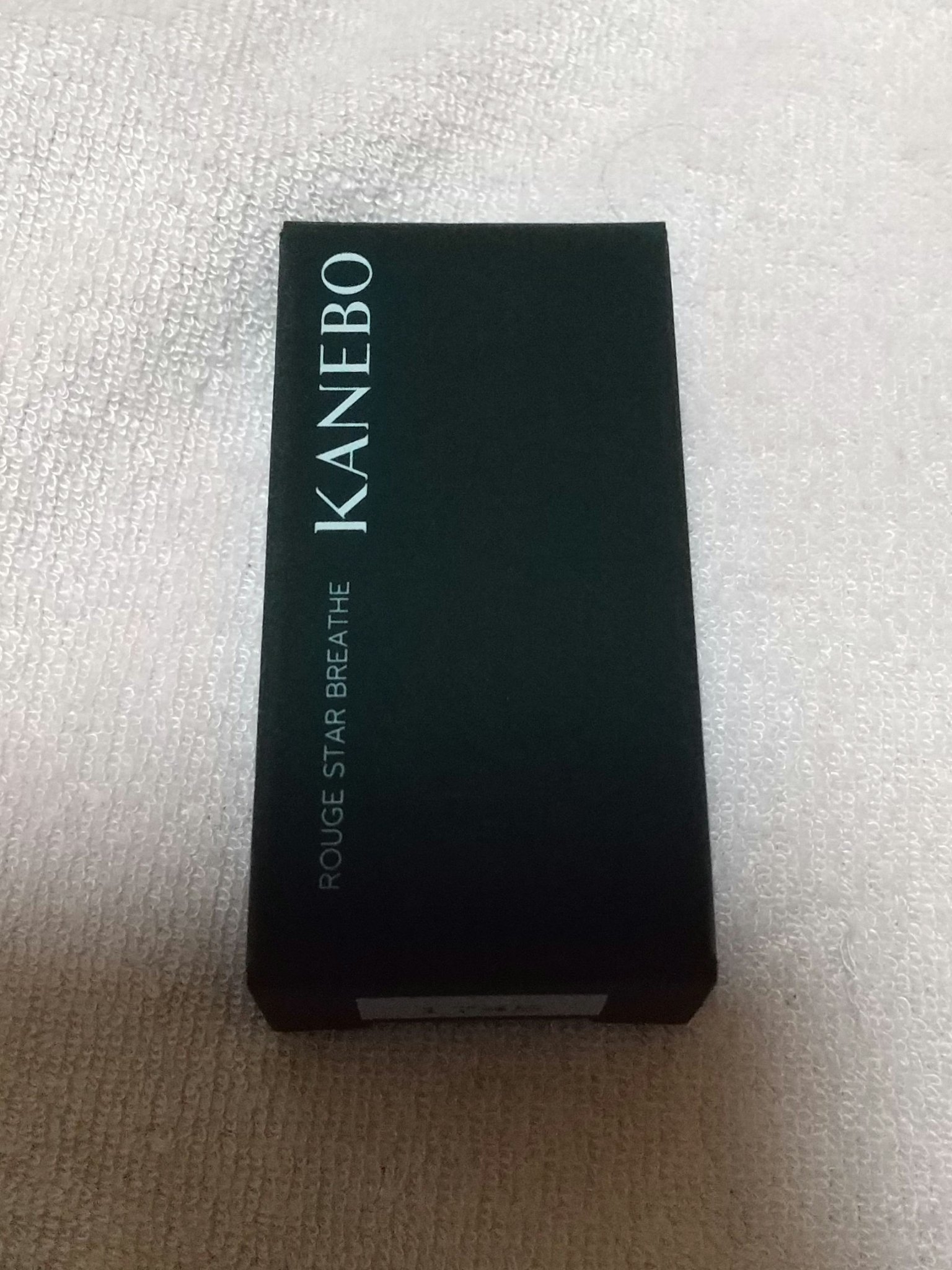 カネボウ ルージュスターブリーズ/KANEBO/口紅を使ったクチコミ（1枚目）
