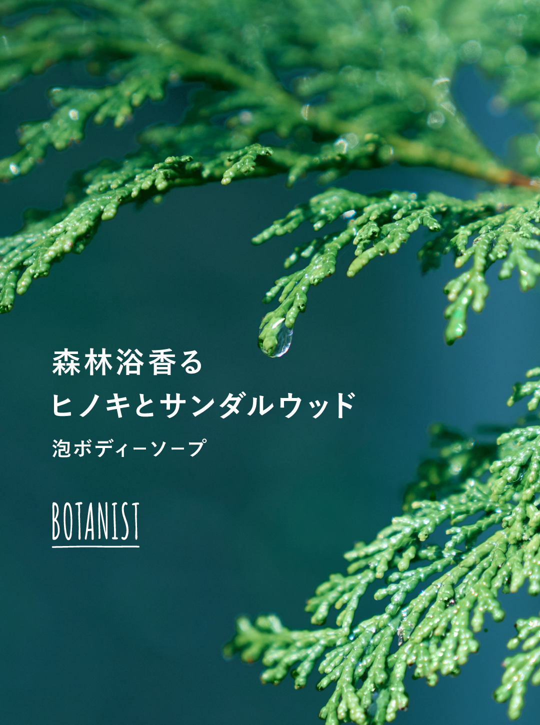 BOTANIST(ボタニスト)公式アカウント on LIPS 「10/1NEW🌱森林浴香る泡ボディーソープヒノキとサンダル..」(1枚目)