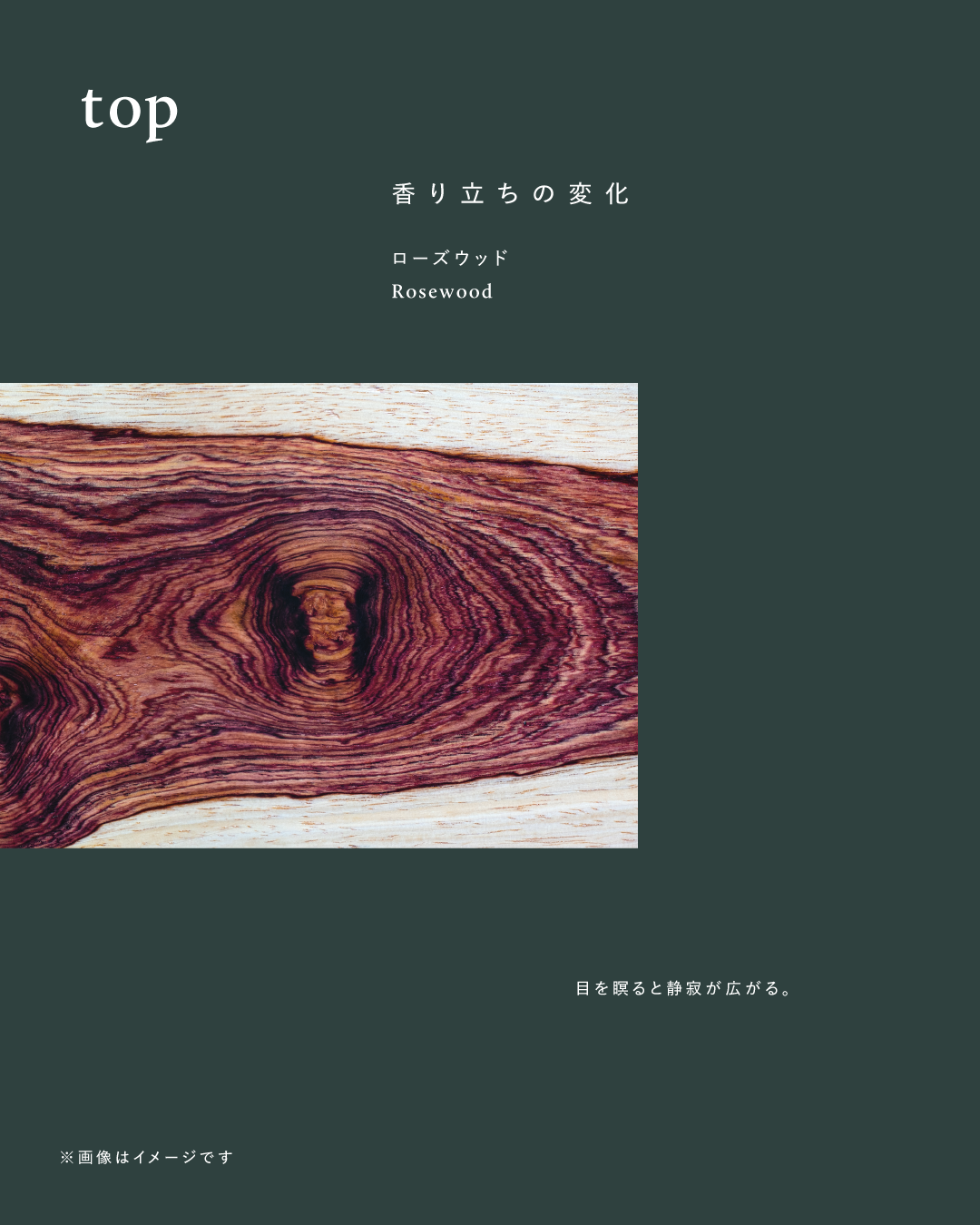ボタニスト サンタル リペアオイルインシャンプー/トリートメント/BOTANIST/市販シャンプーを使ったクチコミ（2枚目）