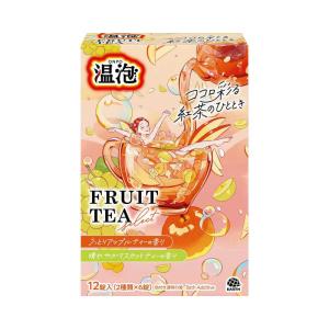 40g×12錠入（2種類×6錠）