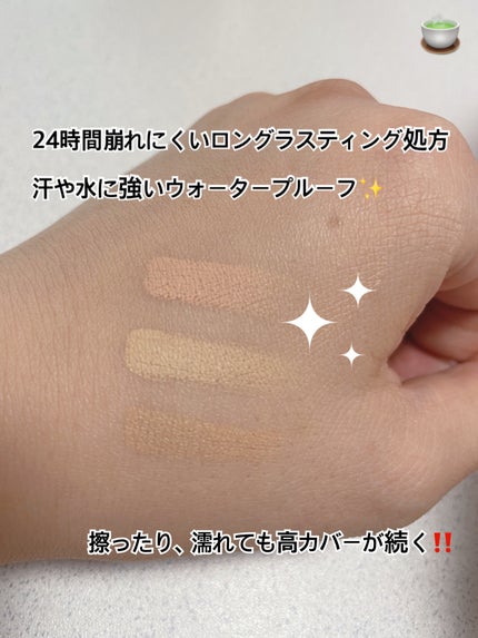 カバーアッププロコンシーラー ワーム/TFIT/パレットコンシーラーの画像