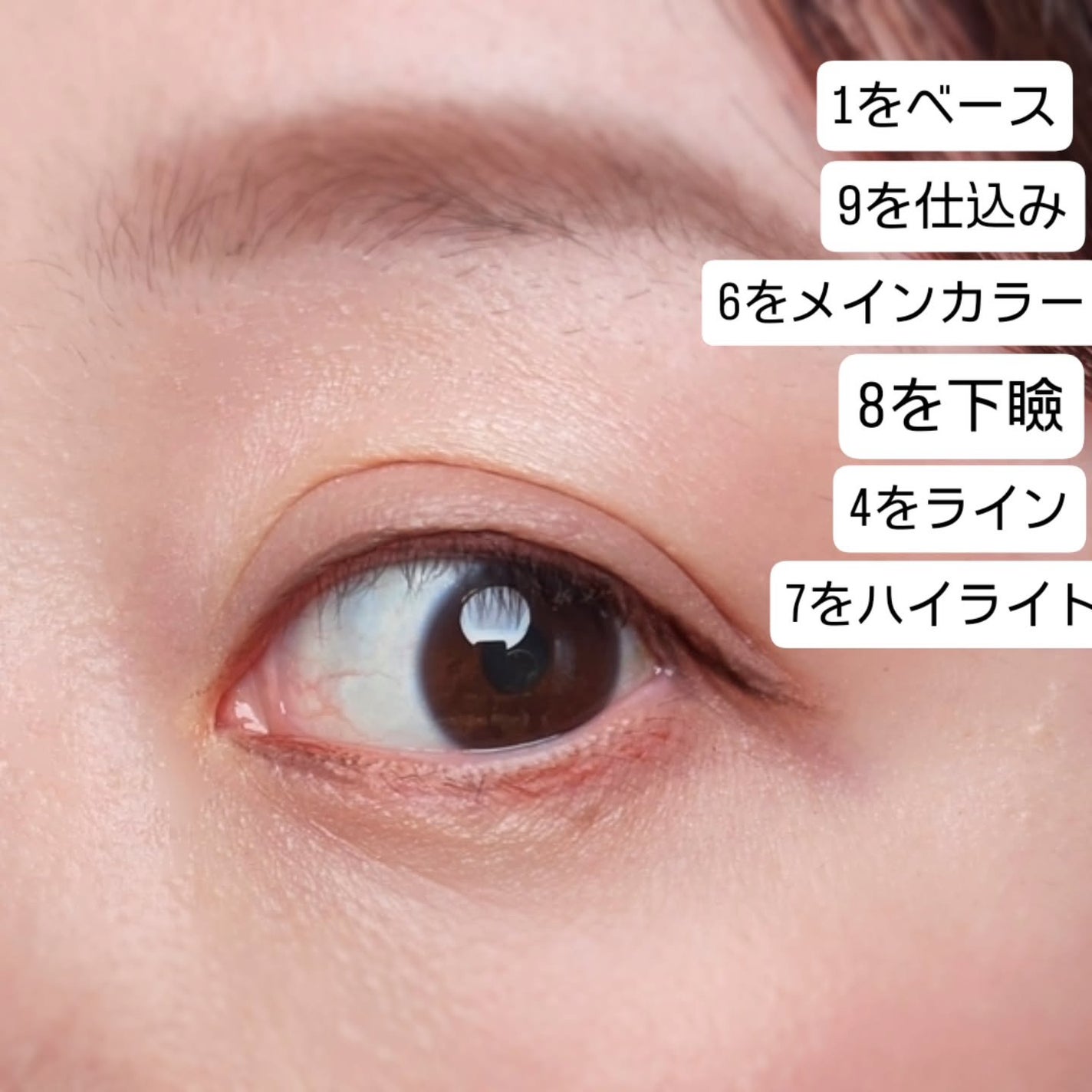 エクスプローラ12色 動物アイシャドウパレット/PERFECT DIARY/アイシャドウパレットを使ったクチコミ(3枚目)