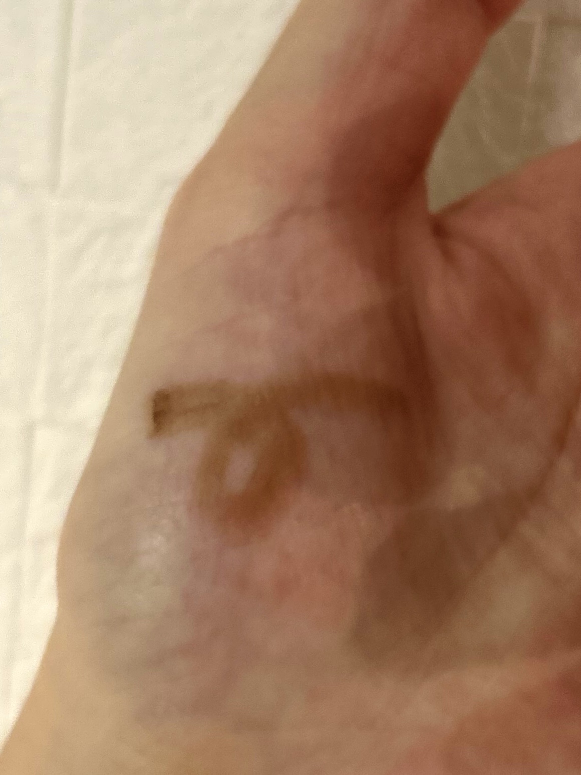 太芯アイブロウ/CEZANNE/アイブロウペンシルを使ったクチコミ（2枚目）