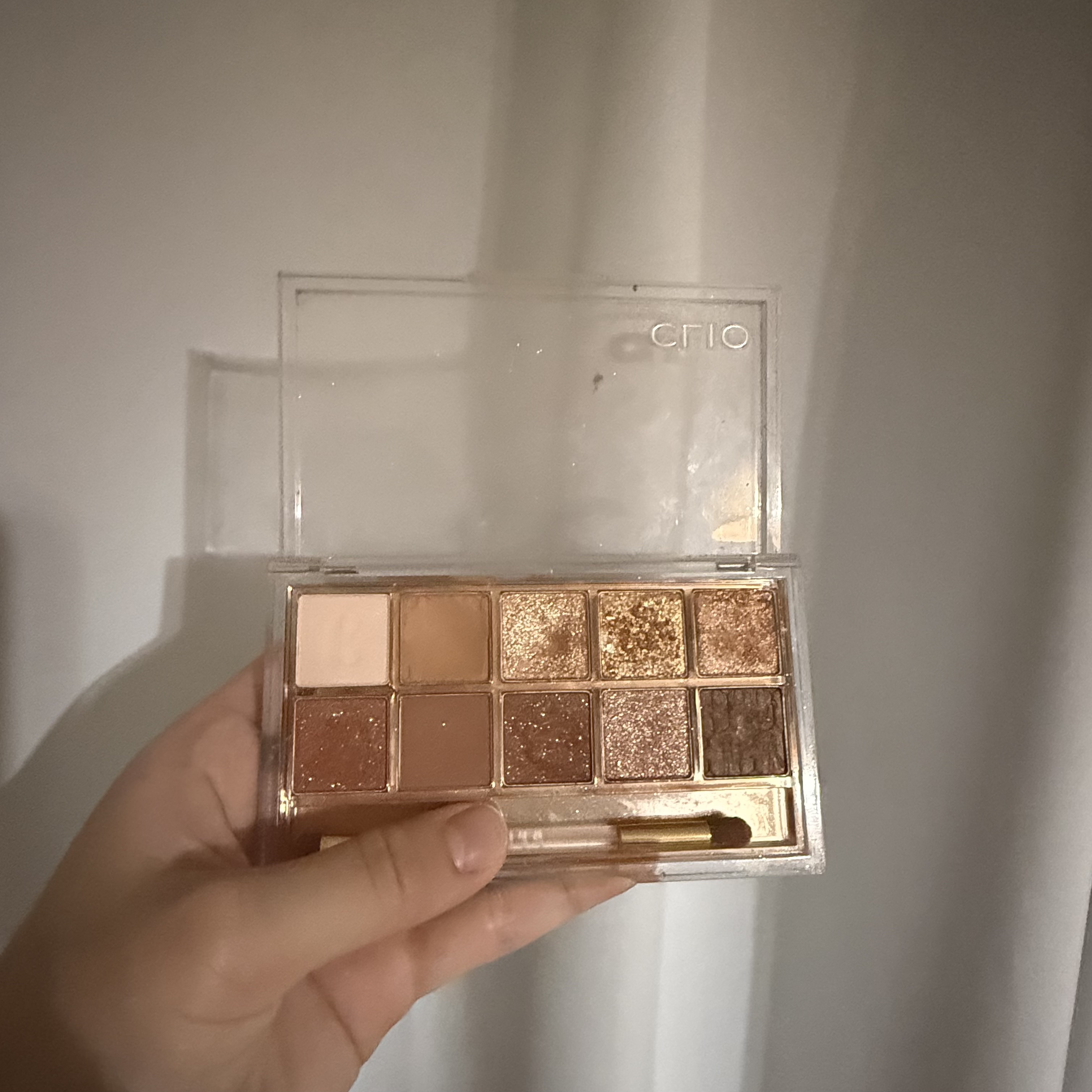 プロ アイ パレット 12 AUTUMN BREEZE IN SEOUL FOREST/CLIO/アイシャドウパレットを使ったクチコミ（1枚目）