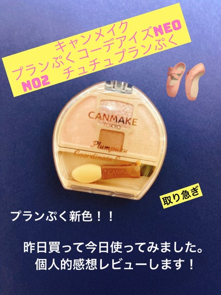 プランぷくコーデアイズ/キャンメイク/パウダーアイシャドウを使ったクチコミ(1枚目)