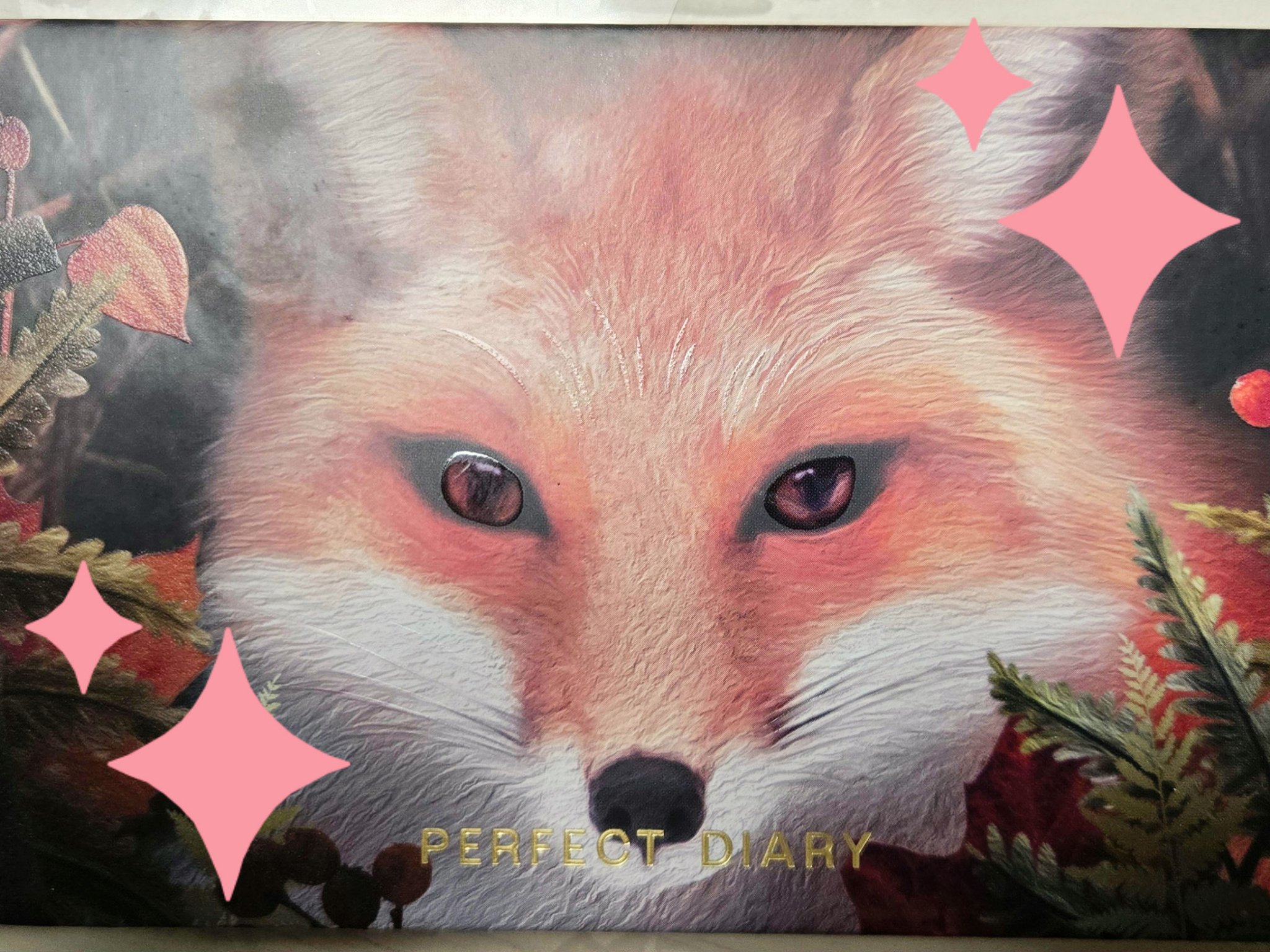 エクスプローラ12色 動物アイシャドウパレット/PERFECT DIARY/アイシャドウパレットを使ったクチコミ（1枚目）