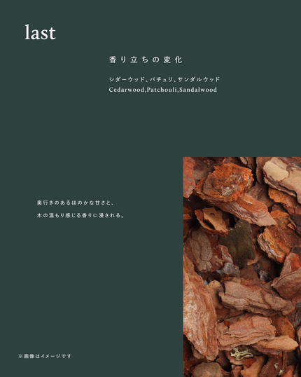 ボタニスト サンタル リペアオイルインシャンプー/トリートメント/BOTANIST/市販シャンプーを使ったクチコミ(4枚目)