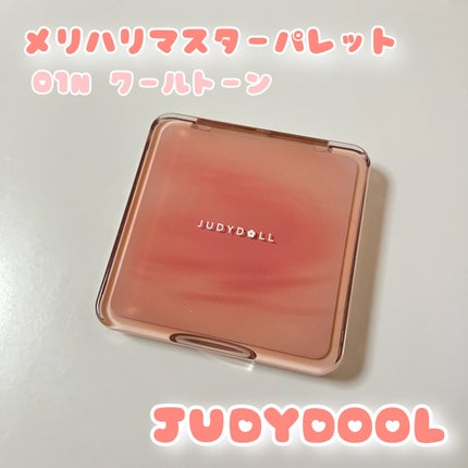 JUDYDOLL メリハリマスターパレット/JUDYDOLL/パウダーハイライトを使ったクチコミ(1枚目)