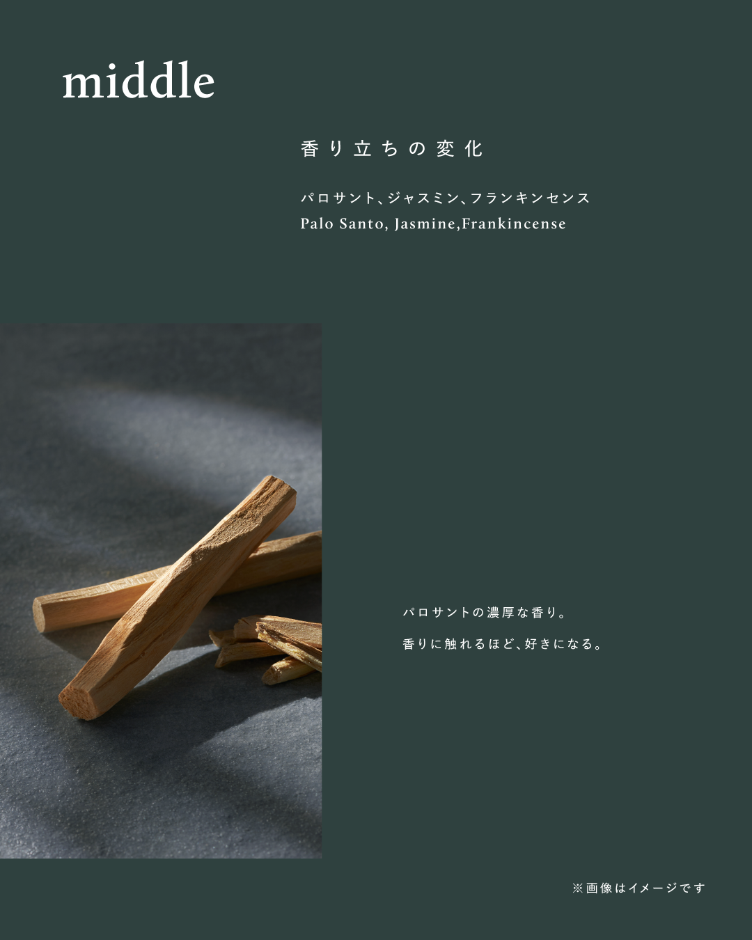 ボタニスト サンタル リペアオイルインシャンプー/トリートメント/BOTANIST/市販シャンプーを使ったクチコミ(3枚目)