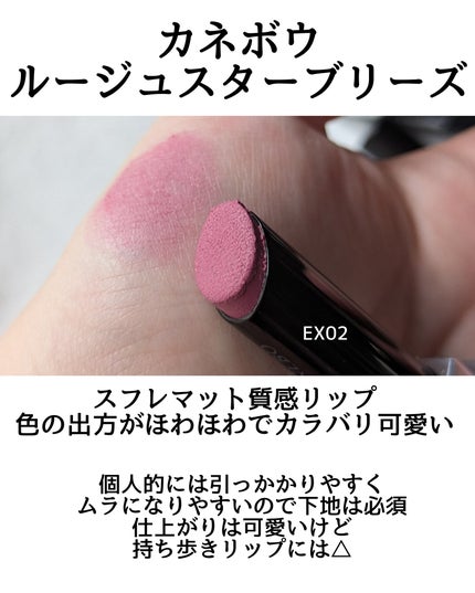 おかめ on LIPS 「枚数制限で全リップあげられなかったので定番のスウォッチ見たい方..」(6枚目)