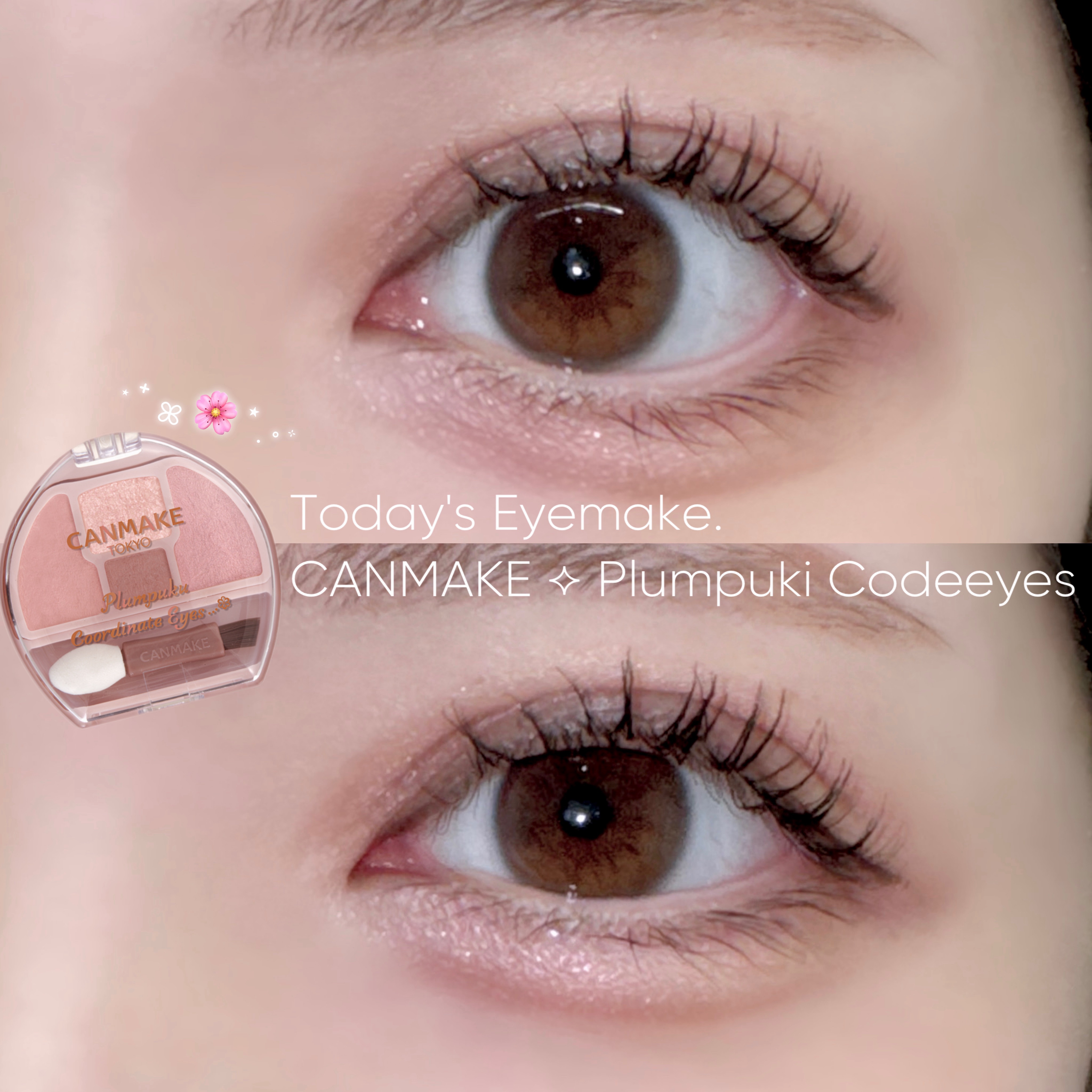 プランぷくコーデアイズ/キャンメイク/パウダーアイシャドウを使ったクチコミ（1枚目）