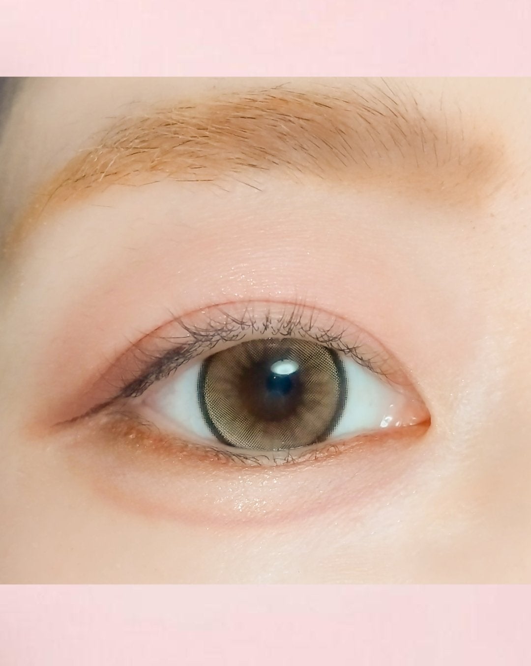 らぃちる on LIPS 「今日のメイク備忘録今日は三角ゾーンを茶色系で引いてみたアイライ..」(6枚目)