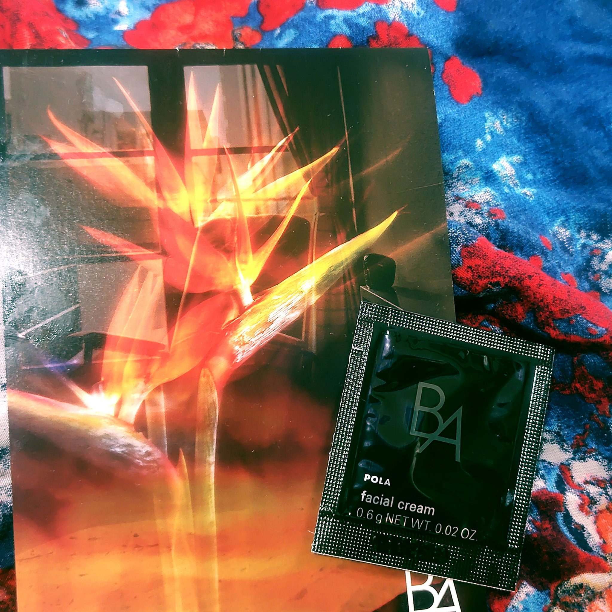 B.A クリーム/B.A/フェイスクリームを使ったクチコミ（1枚目）