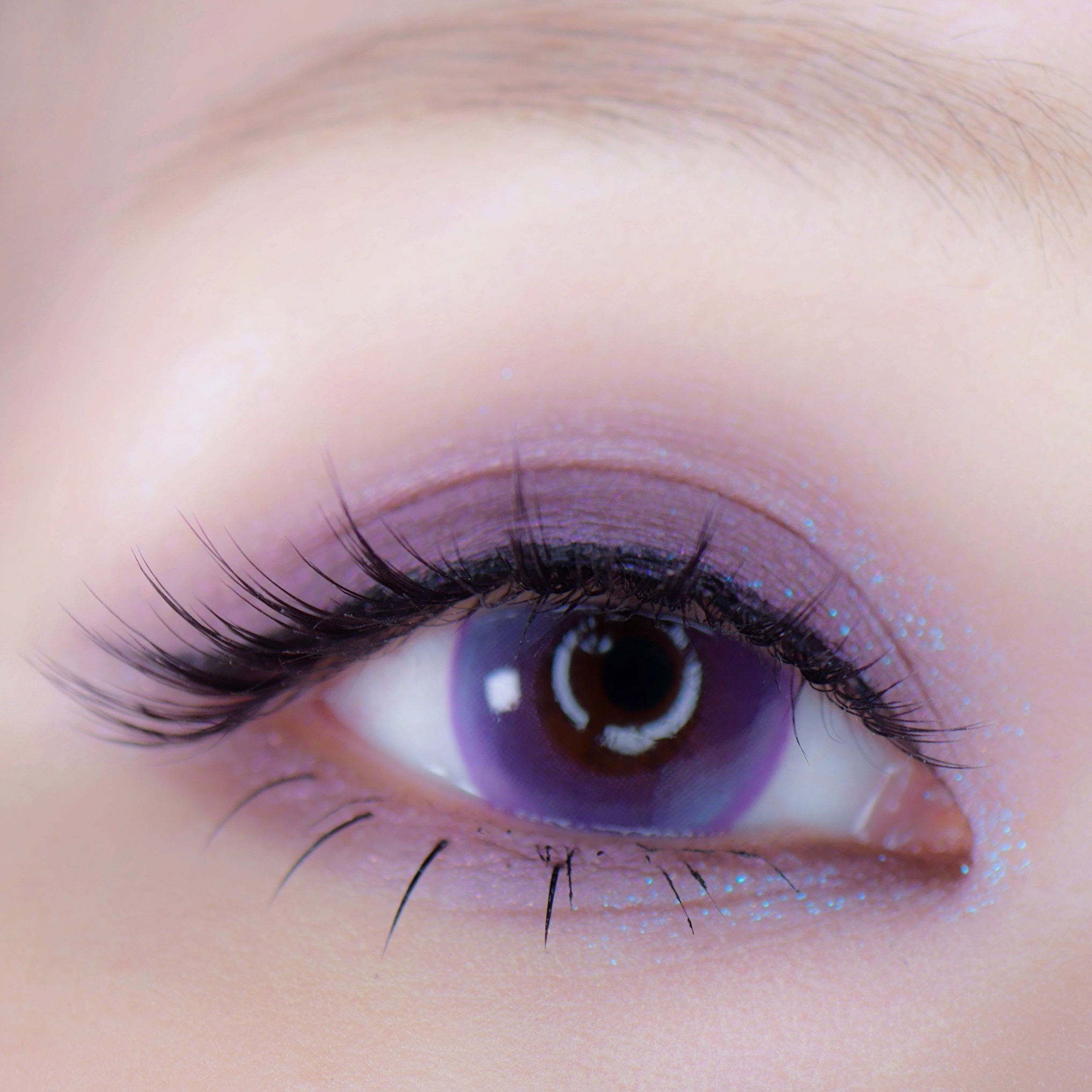 VILLEGE/RICH STANDARD/ワンデー（１DAY）カラコンを使ったクチコミ（1枚目）