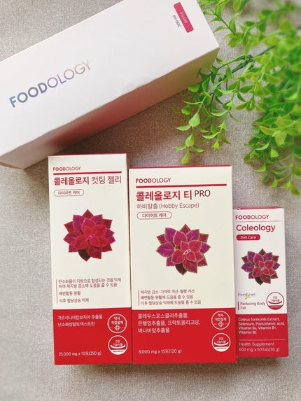 を使ったクチコミ(1枚目)