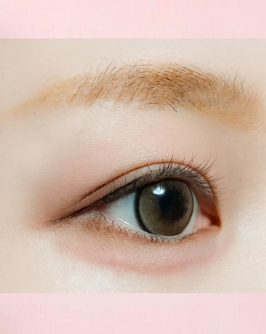 らぃちる on LIPS 「今日のメイク備忘録今日は三角ゾーンを茶色系で引いてみたアイライ..」(7枚目)