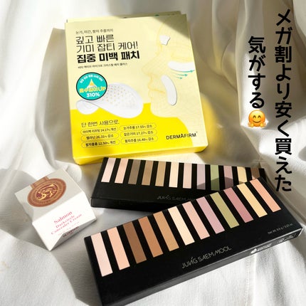 アーティストコンシーラーパレット/JUNG SAEM MOOL/パレットコンシーラーを使ったクチコミ(2枚目)