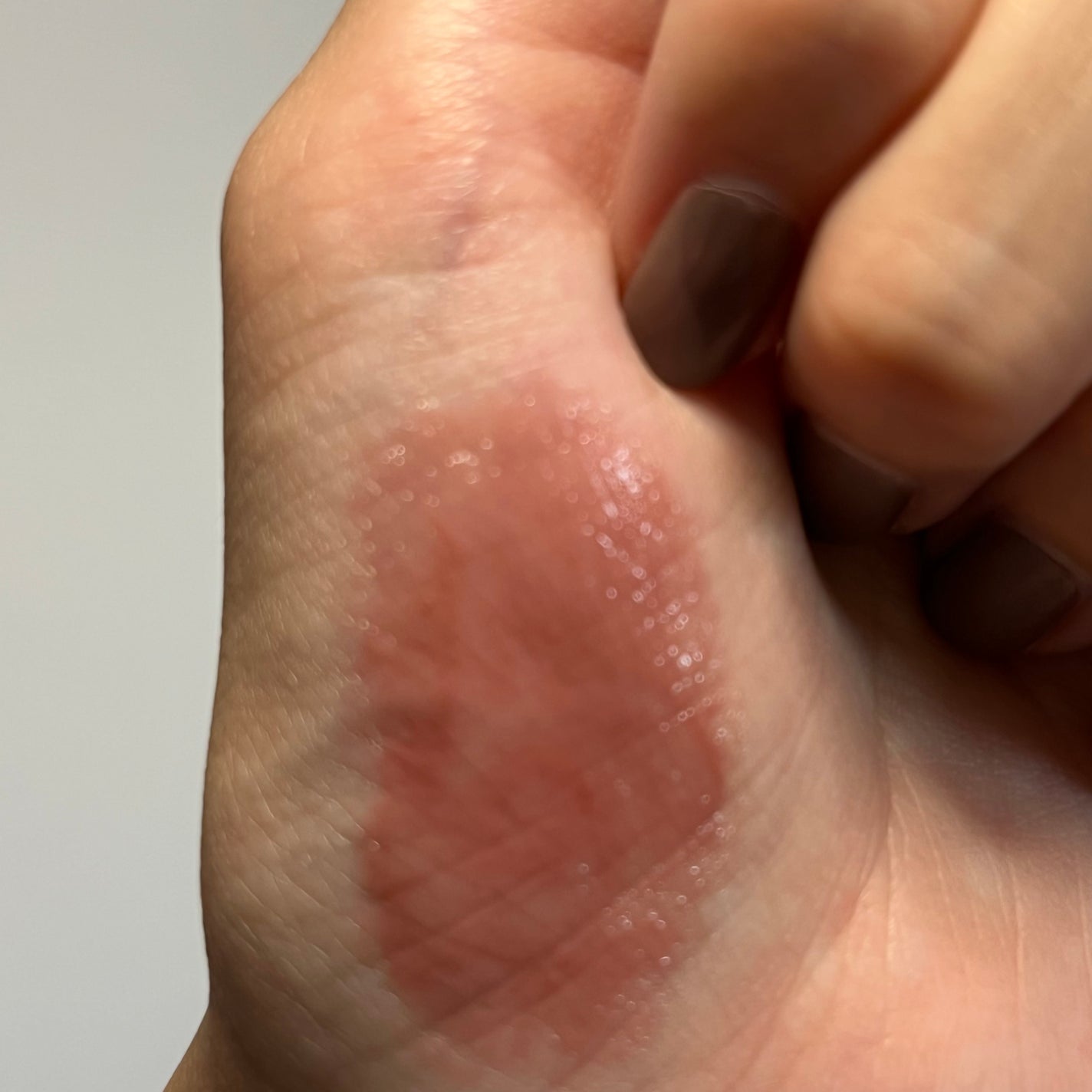 グラスティングメルティングバーム/rom&nd/リップバームを使ったクチコミ(3枚目)