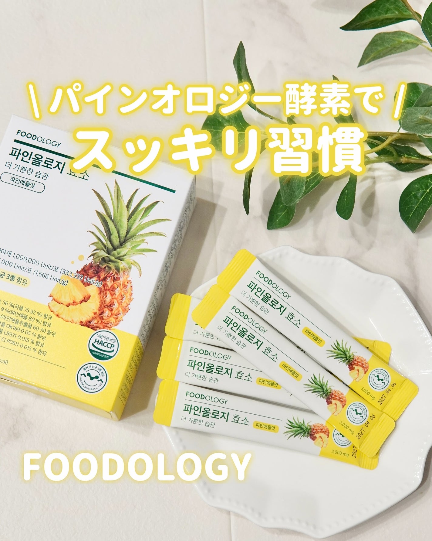 パインオロジー酵素/FOODOLOGY/酵素ドリンクを使ったクチコミ(1枚目)