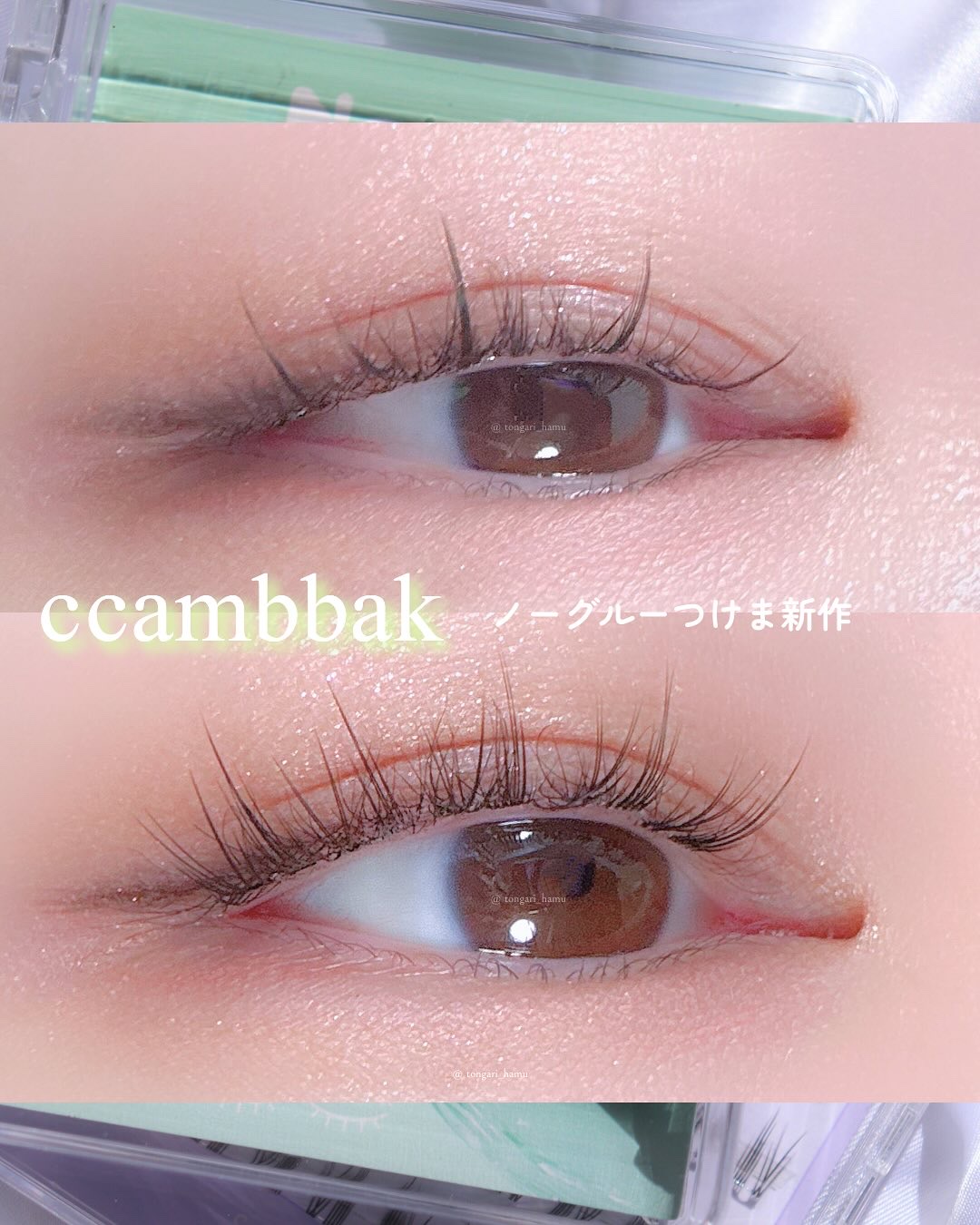 ノーグルーラッシュ/CCAM BBAK/つけまつげを使ったクチコミ（1枚目）