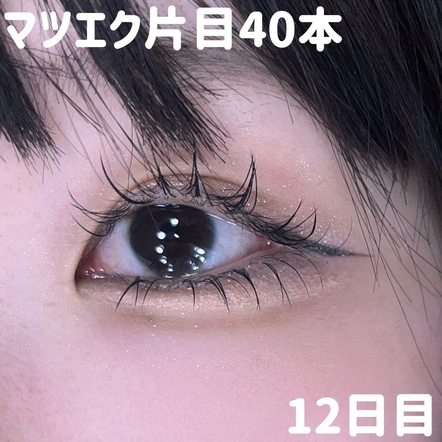 ルナソル アイカラーレーションN/LUNASOL/アイシャドウパレットを使ったクチコミ(1枚目)