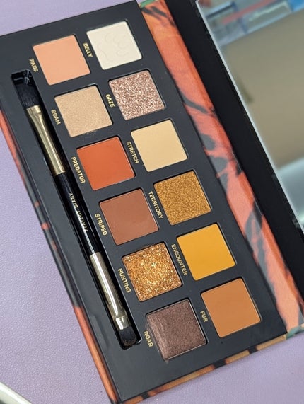 スキンシルエットコントゥアデュオ/DEAR DAHLIA/シェーディングを使ったクチコミ(3枚目)