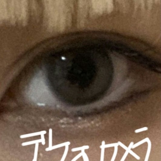 MOLAK 1day/MOLAK/ワンデー(1DAY)カラコンを使ったクチコミ(2枚目)