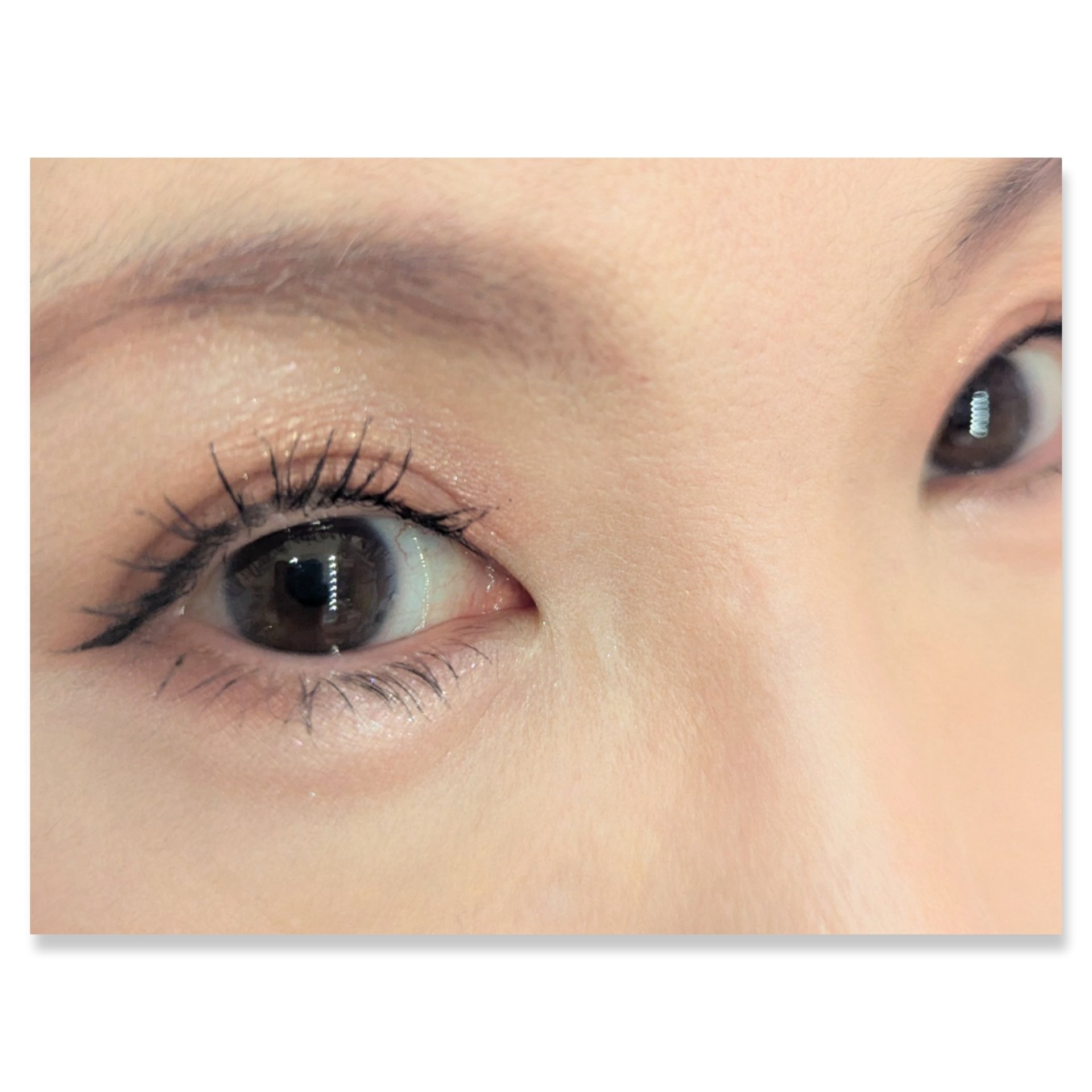 グラデーション アイシャドウ/ちふれ/アイシャドウパレットを使ったクチコミ（2枚目）