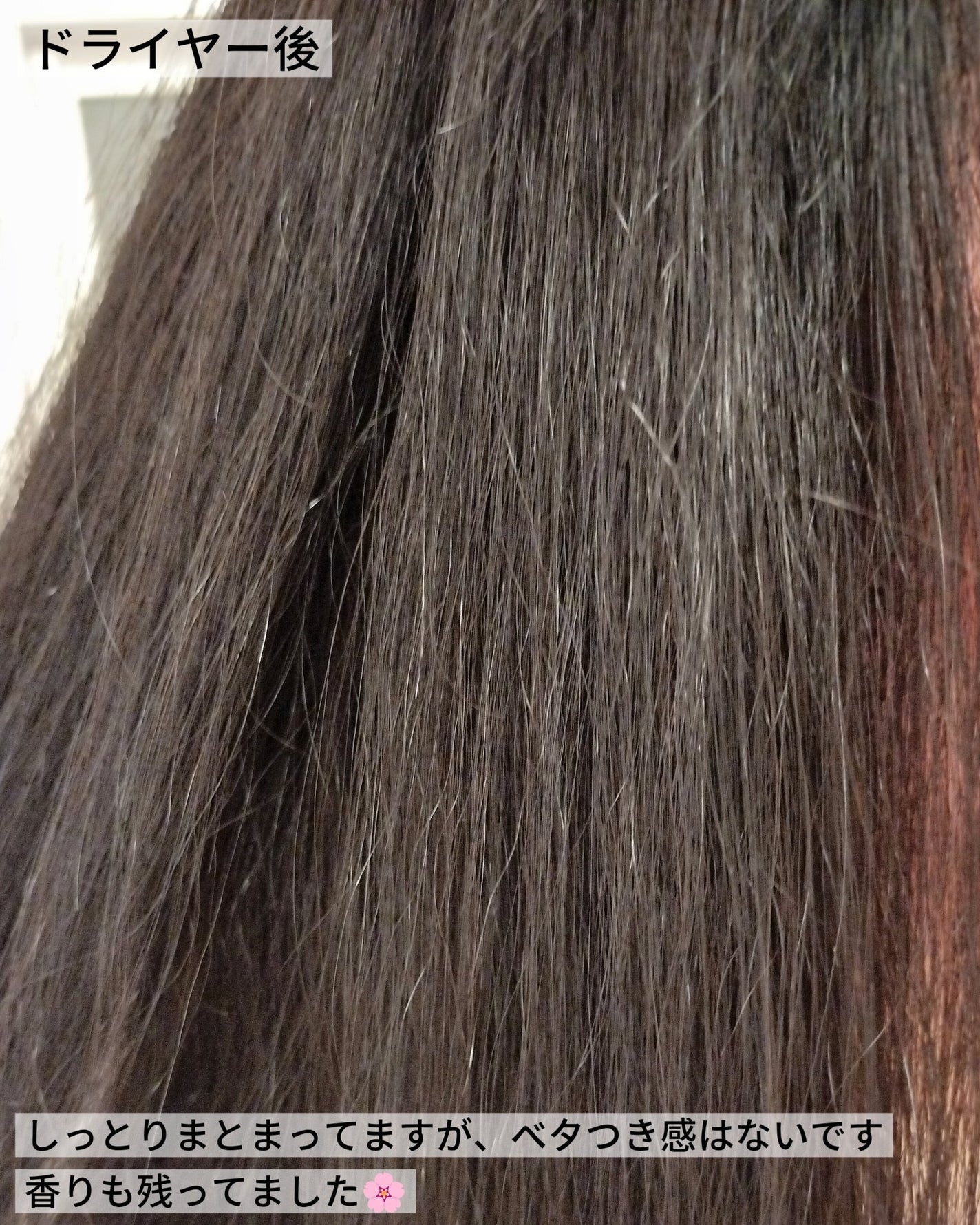 ã¹ãã¬ãŒãã·ã£ã³ããŒ/ã¹ãã¬ãŒãããªãŒãã¡ã³ã ãã¯ã€ãããããµã ã®éŠã/Straine/åžè²©ã·ã£ã³ããŒã䜿ã£ãã¯ãã³ãïŒ5æç®ïŒ