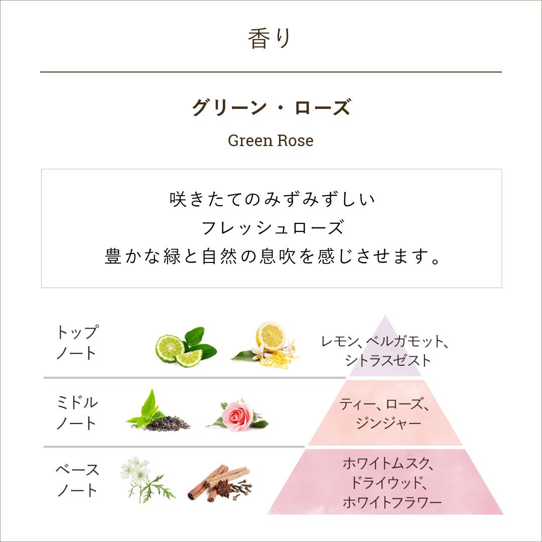 ボディリチュアルキット グリーン・ローズ SABON