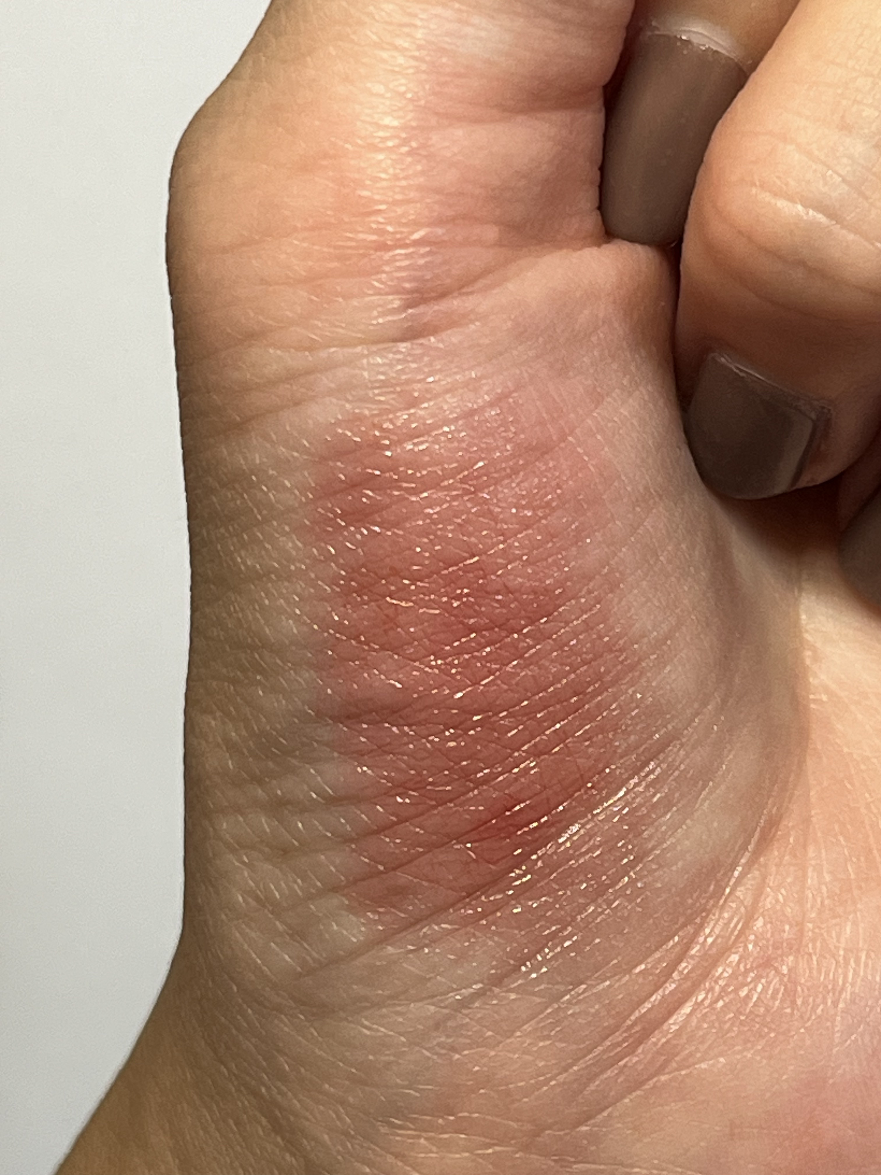 リップカラーシールド/CEZANNE/口紅を使ったクチコミ（2枚目）