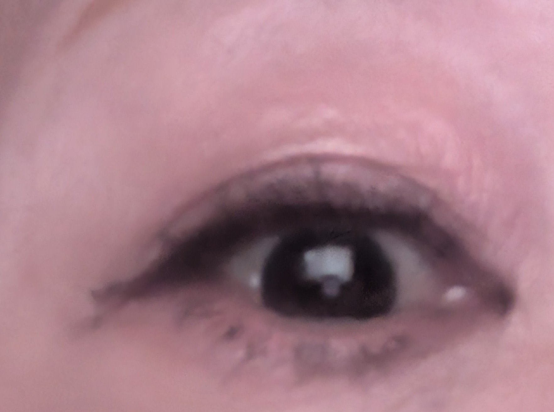 ニュアンス デューイ クリエイター/Visée/アイシャドウパレットを使ったクチコミ（2枚目）