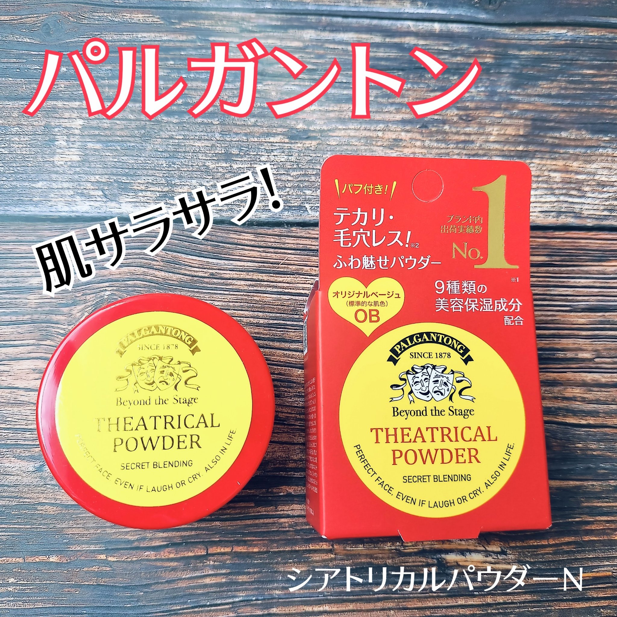 シアトリカルパウダーN/パルガントン/ルースパウダーを使ったクチコミ（1枚目）