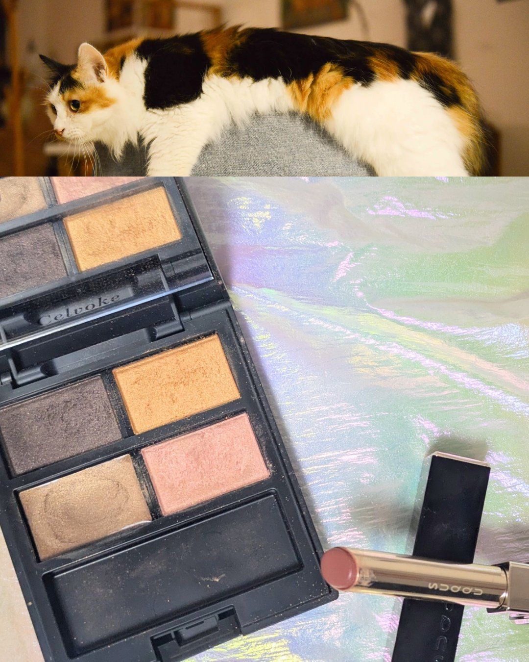 セルヴォーク ヴァティック アイパレット/Celvoke/アイシャドウパレットを使ったクチコミ（2枚目）