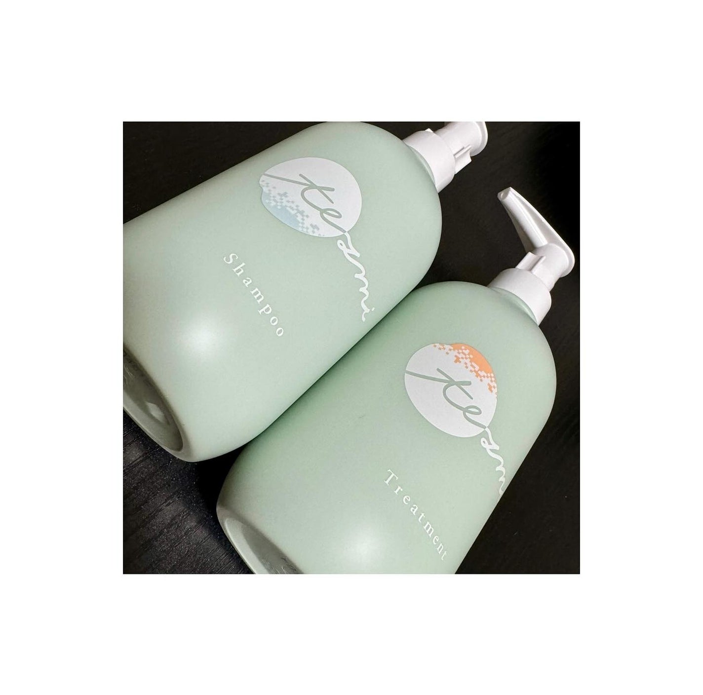 モイスチャーリペアシャンプー&モイスチャーリペアトリートメントセット tezmi