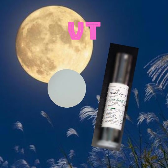 リードルショット300/VT/美容液を使ったクチコミ（1枚目）