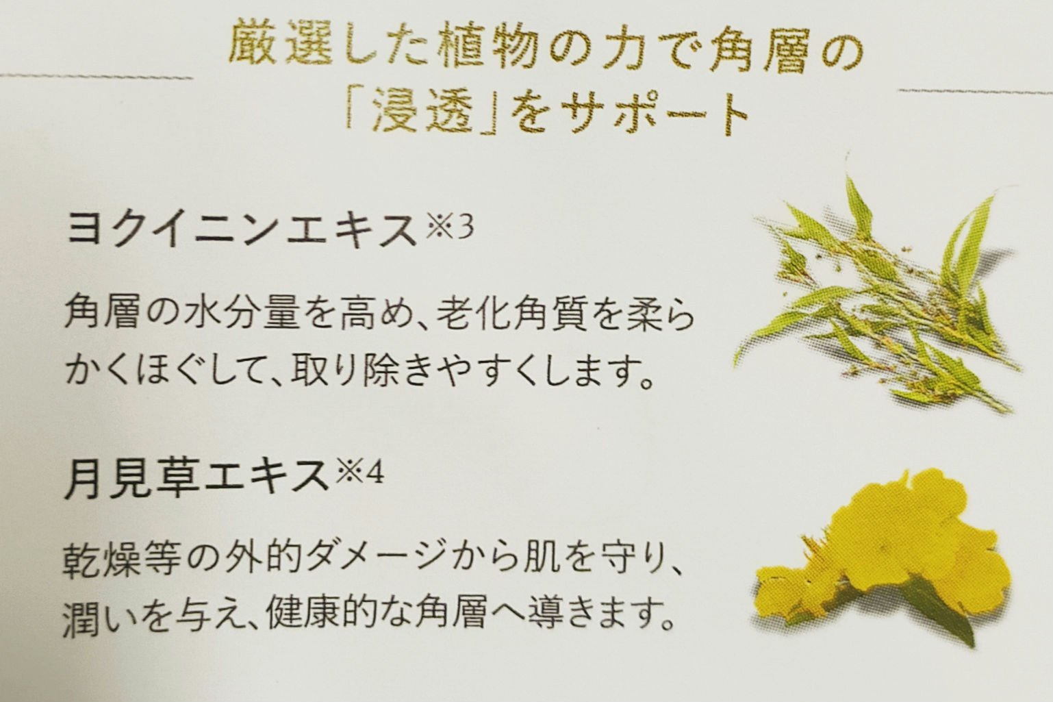 ルクエ コンク/ナリス化粧品/拭き取り化粧水を使ったクチコミ（3枚目）