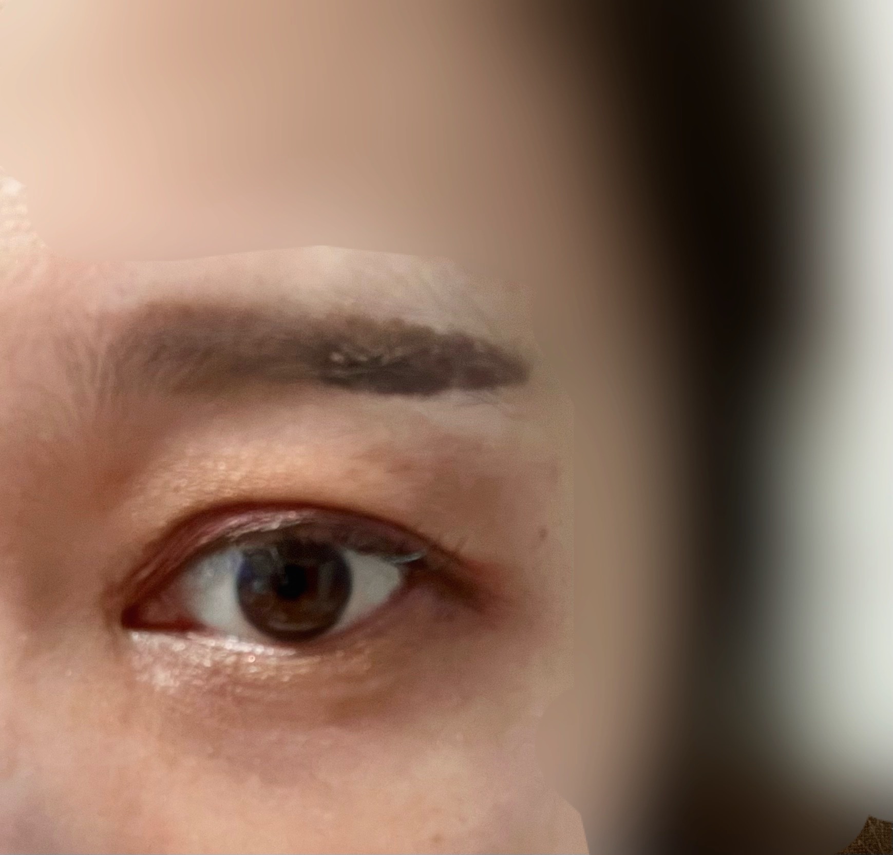 ワンダー エバー アイシャドウ/リンメル ロンドン/アイシャドウパレットを使ったクチコミ（2枚目）