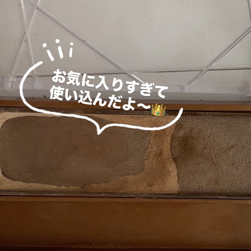 ノーズ＆アイブロウパウダー/CEZANNE/パウダーアイブロウを使ったクチコミ（2枚目）