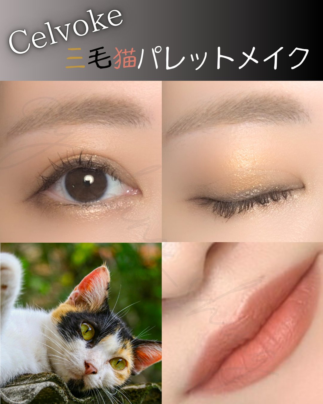 セルヴォーク ヴァティック アイパレット/Celvoke/アイシャドウパレットを使ったクチコミ（1枚目）