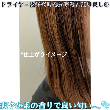 ã¹ãã¬ãŒãã·ã£ã³ããŒ/ã¹ãã¬ãŒãããªãŒãã¡ã³ã ãã¯ã€ãããããµã ã®éŠã/Straine/åžè²©ã·ã£ã³ããŒã䜿ã£ãã¯ãã³ãïŒ4æç®ïŒ