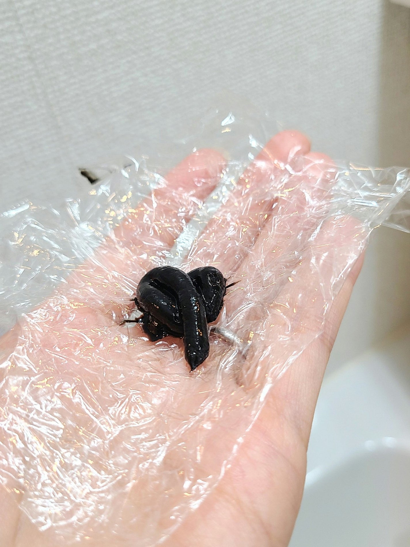 ウエラトーン エッセンスイン カラートリートメント/ウエラ/ヘアカラーを使ったクチコミ(2枚目)