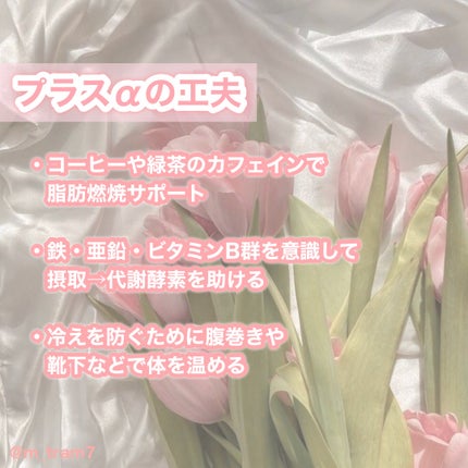 DHC ヘム鉄/DHC/健康サプリメントを使ったクチコミ(5枚目)