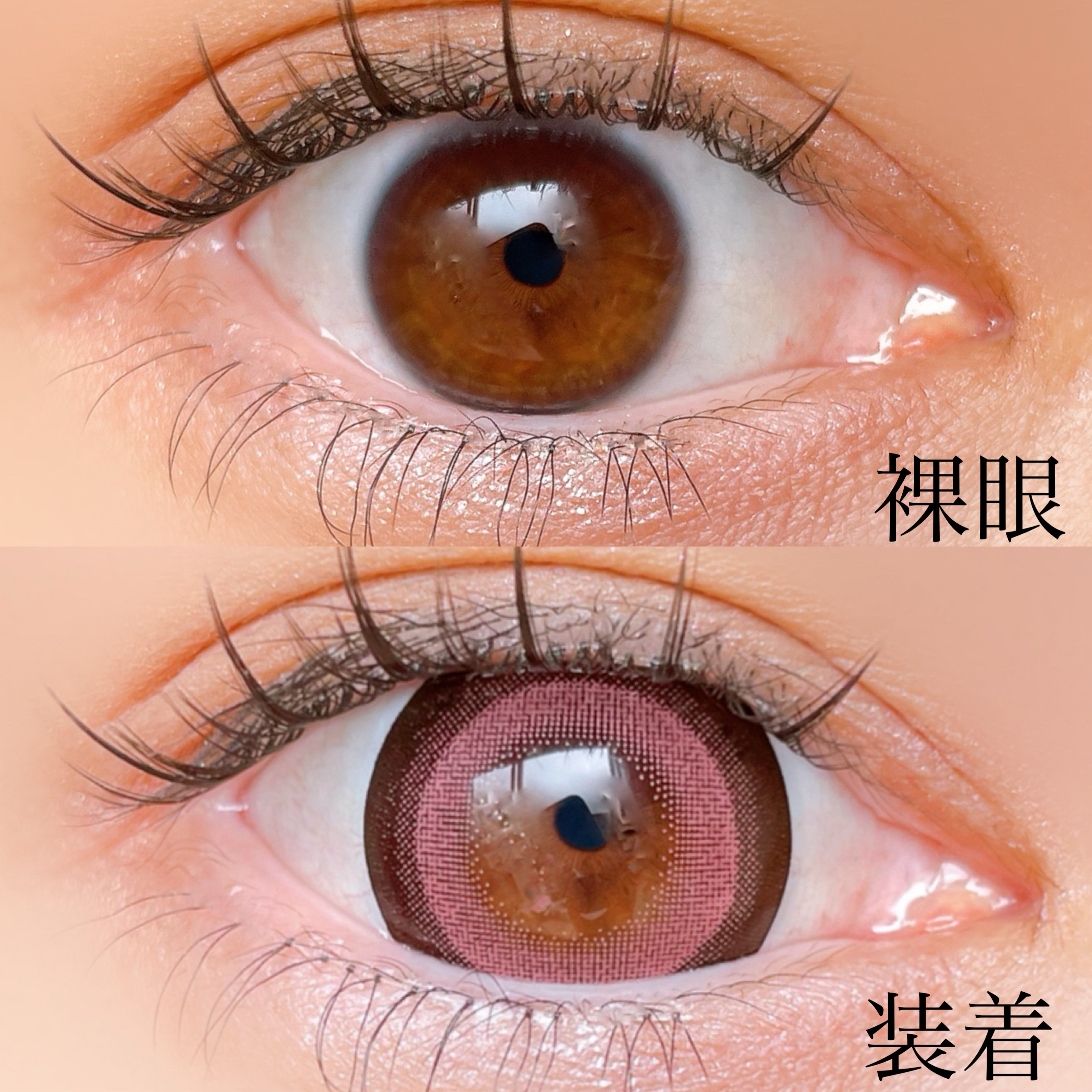 Dustity/Dustity/ワンデー（１DAY）カラコンを使ったクチコミ（3枚目）