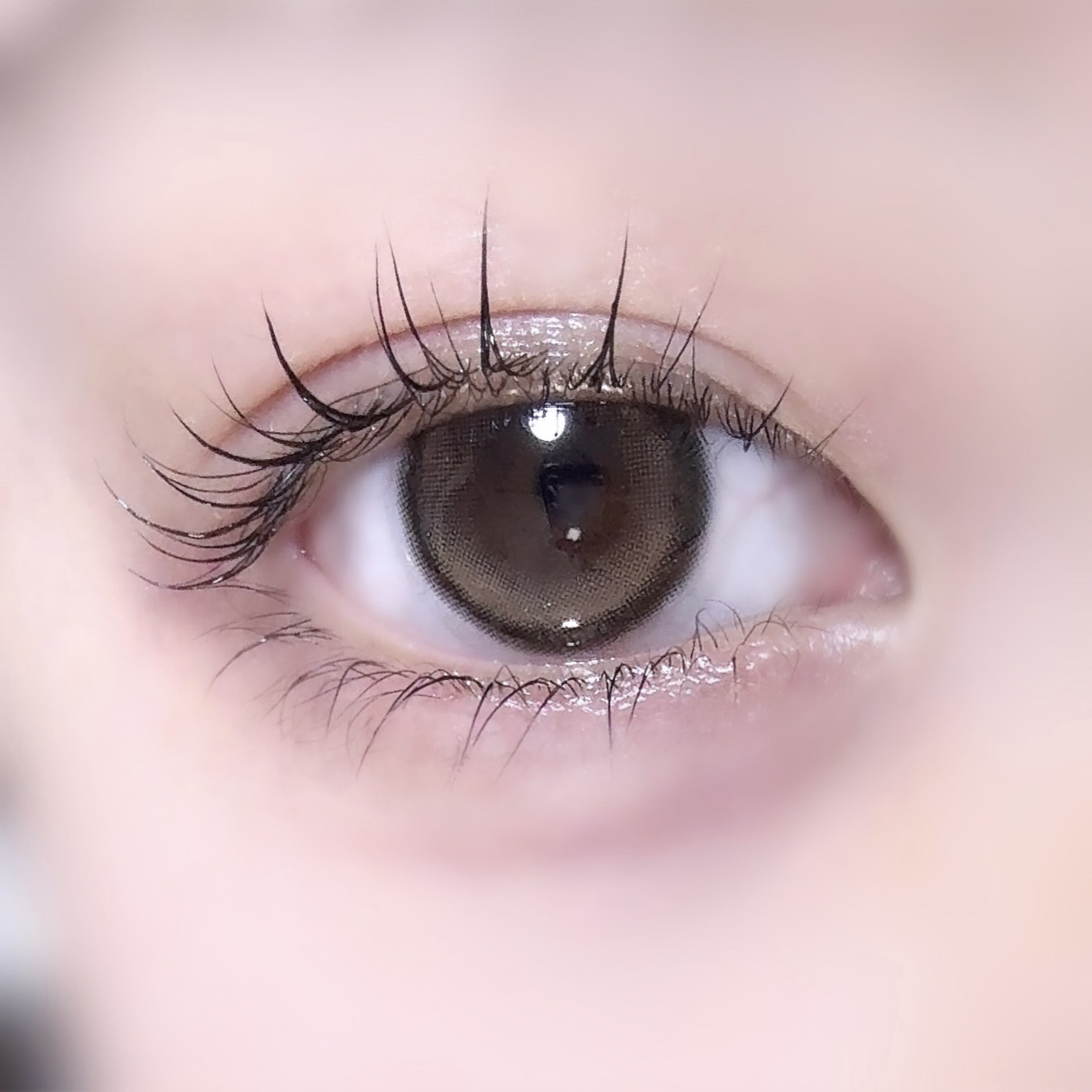 Unrolla 1day ルナンベージュ/Unrolla/ワンデー（１DAY）カラコンを使ったクチコミ（1枚目）