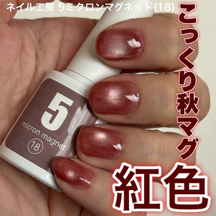 5ミクロンマグネット/ネイル工房/ジェルネイルを使ったクチコミ(1枚目)
