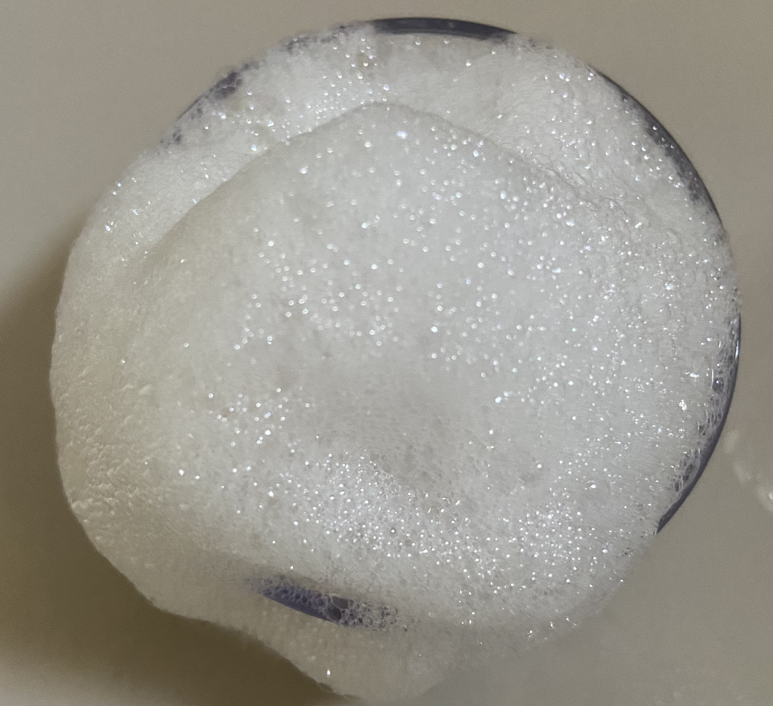 ストレートシャンプー/ストレートトリートメント ホワイトブロッサムの香り/Straine/市販シャンプーを使ったクチコミ（3枚目）