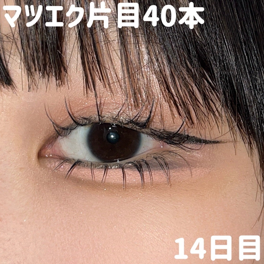 シャドウパレット/dasique/アイシャドウパレットを使ったクチコミ(1枚目)