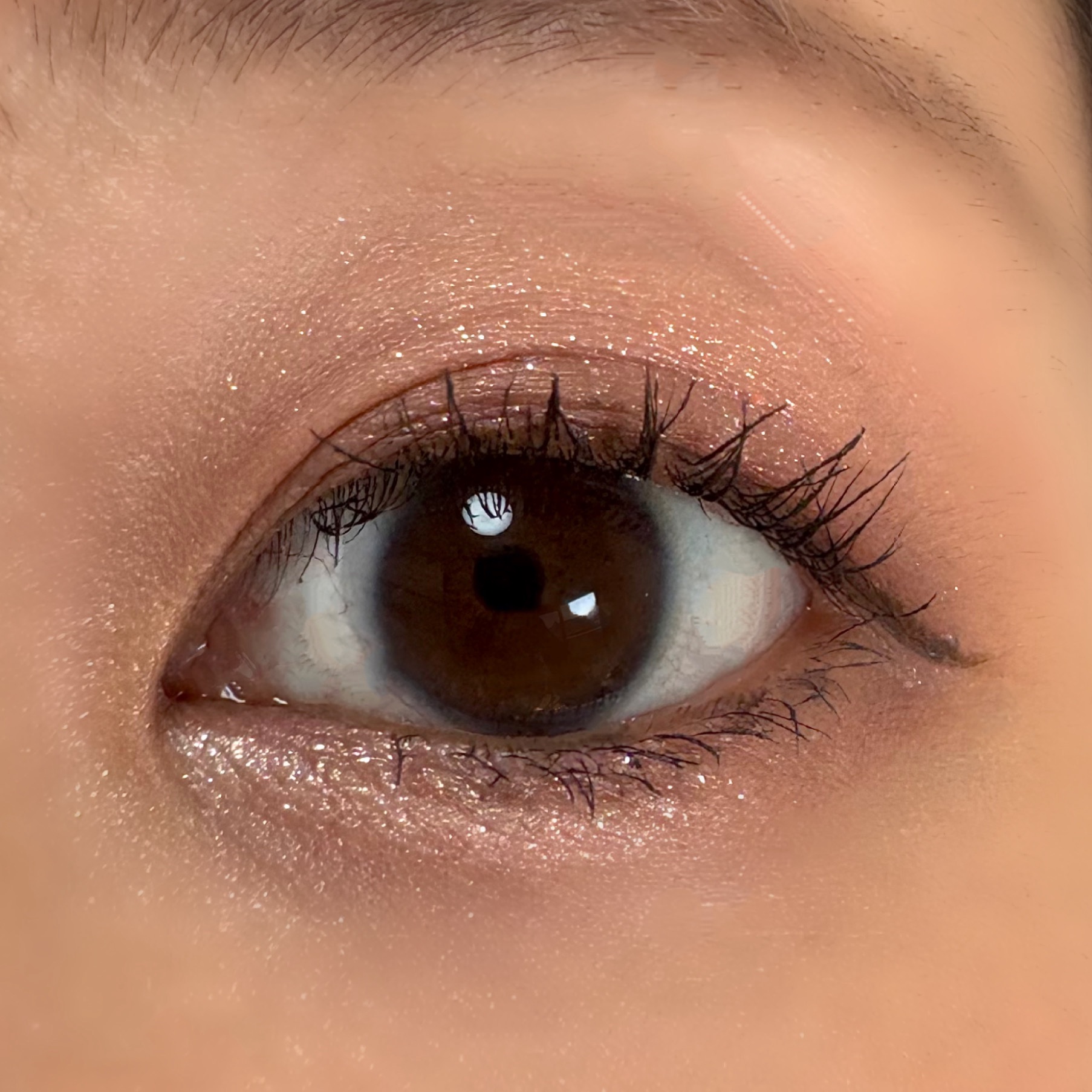 ラメマニア/キャンメイク/アイシャドウを使ったクチコミ（3枚目）